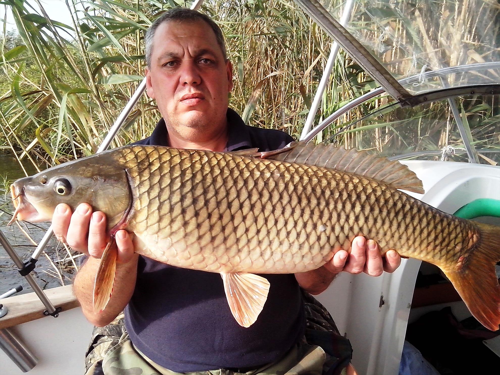 Sulina septembrie 2014 - img20140922093242.jpg